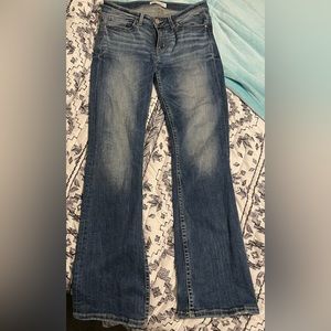 BKE Payton Bootcut Jean